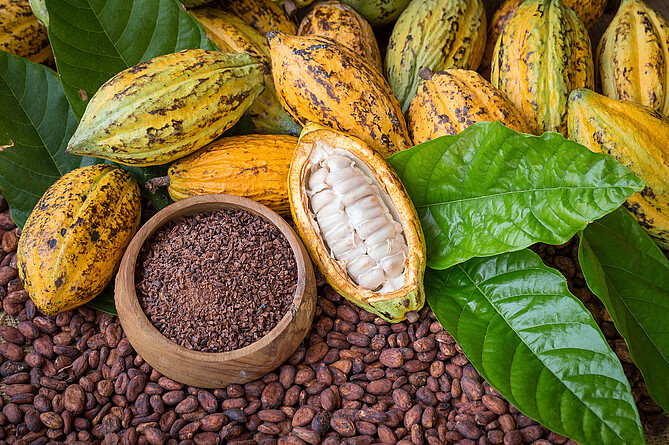 Kakao hat viele Seiten